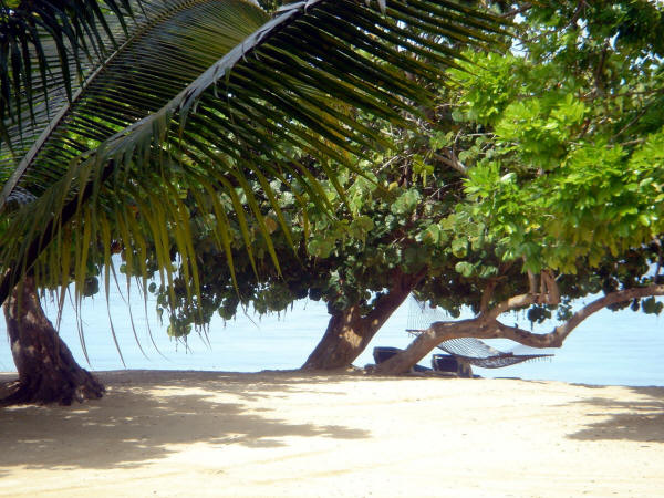 Hedonism II: July, 2008