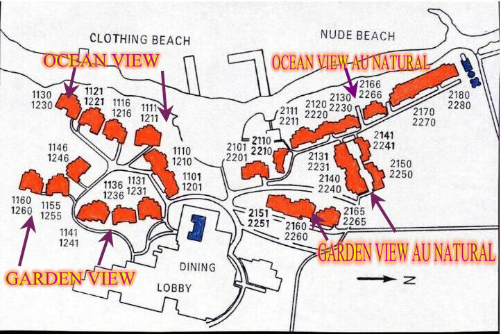 Hedonism II Room Layout